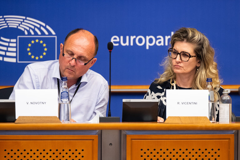 Suriet 19: DEVE - Public Hearing on the Interlinkage between Migration and Development Cooperation