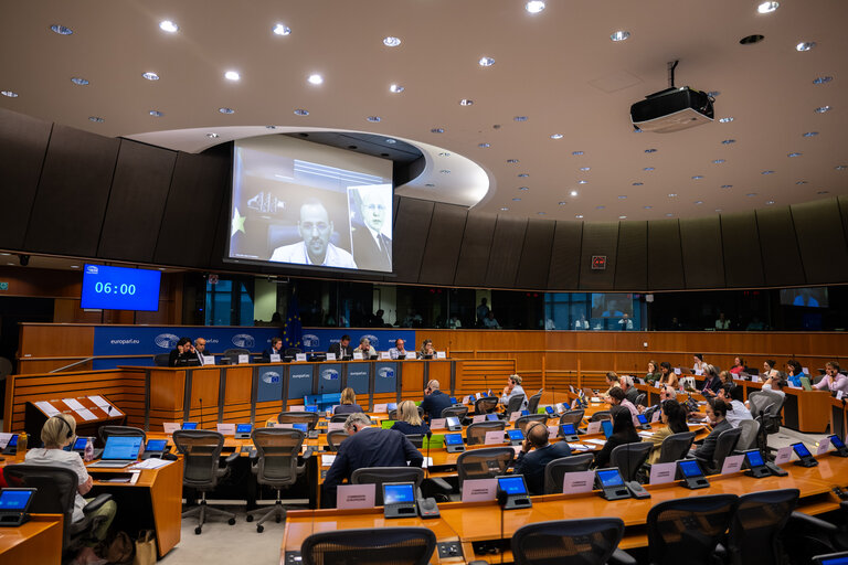 Suriet 36: DEVE - Public Hearing on the Interlinkage between Migration and Development Cooperation