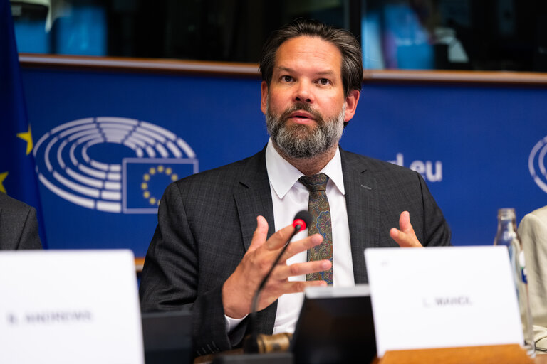 Suriet 34: DEVE - Public Hearing on the Interlinkage between Migration and Development Cooperation
