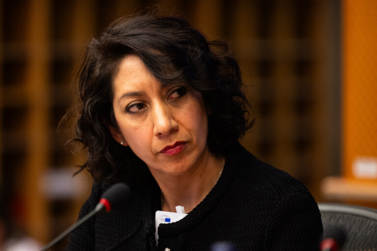Suriet 22: DEVE - Public Hearing on the Interlinkage between Migration and Development Cooperation