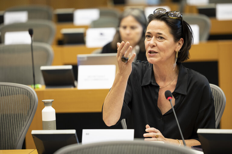 INTA - Presentation of the priorities of the Danish Presidency of the Council