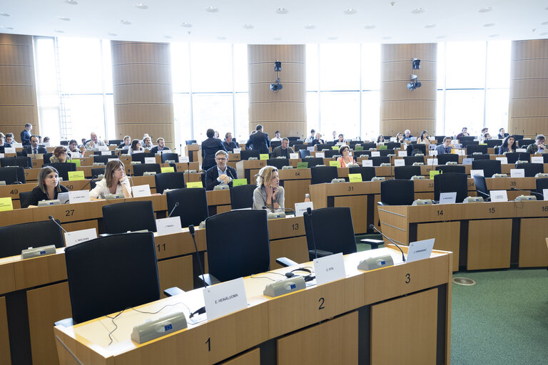 ECON EMPL - Economic Dialogue on the European Semester 2025