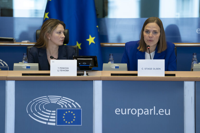 ITRE - Presentation of the priorities of the Danish Presidency of the Council