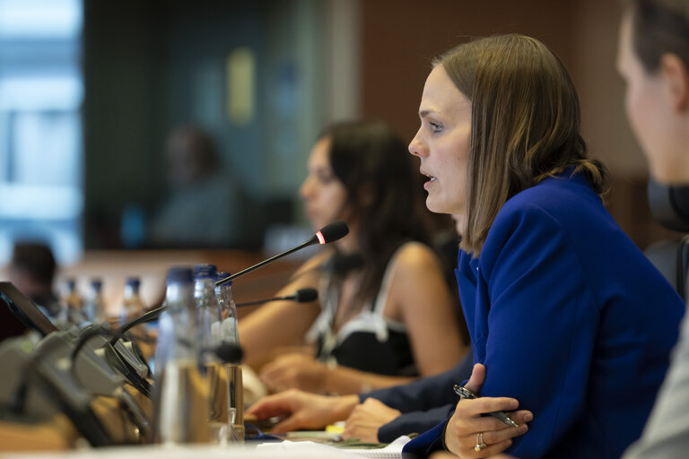 ITRE - Presentation of the priorities of the Danish Presidency of the Council