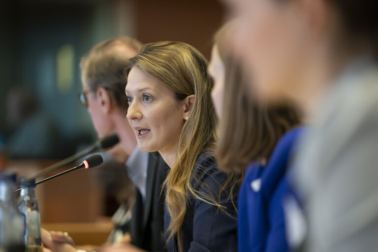 ITRE - Presentation of the priorities of the Danish Presidency of the Council