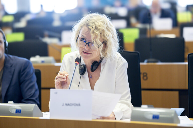 ITRE - Presentation of the priorities of the Danish Presidency of the Council