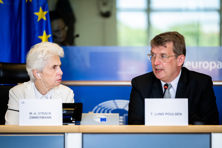 SEDE - Presentation of the priorities of the Danish Presidency of the Council