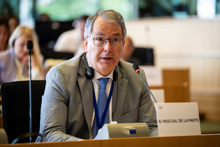 SEDE - Presentation of the priorities of the Danish Presidency of the Council