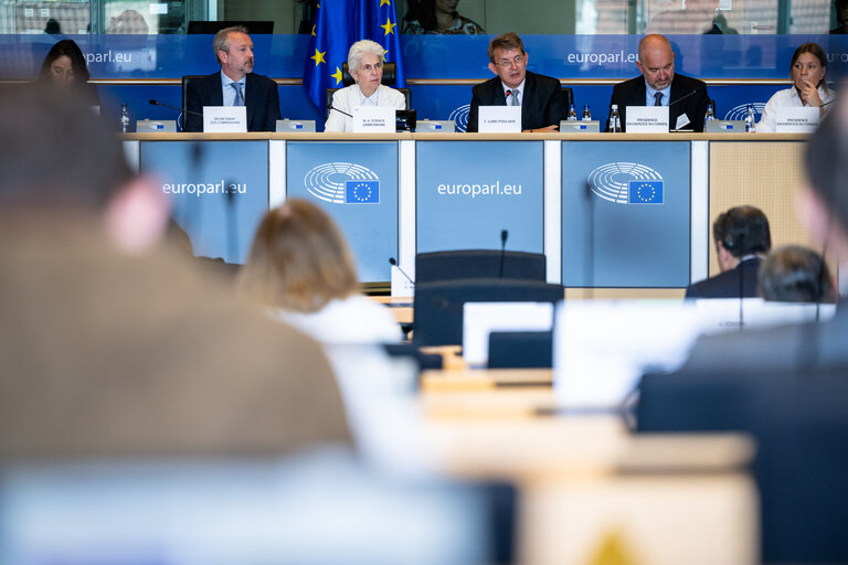 SEDE - Presentation of the priorities of the Danish Presidency of the Council