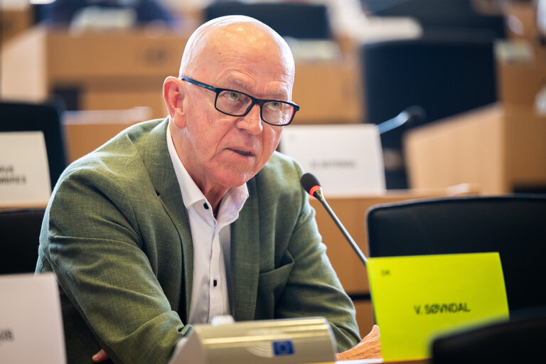 SEDE - Presentation of the priorities of the Danish Presidency of the Council