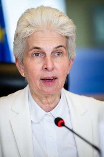 SEDE - Presentation of the priorities of the Danish Presidency of the Council