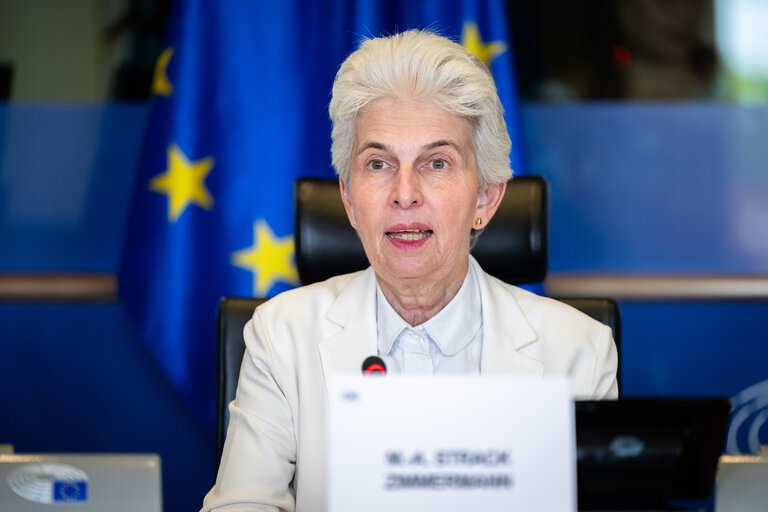 SEDE - Presentation of the priorities of the Danish Presidency of the Council