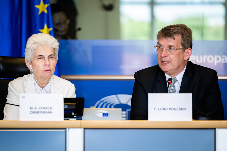 SEDE - Presentation of the priorities of the Danish Presidency of the Council