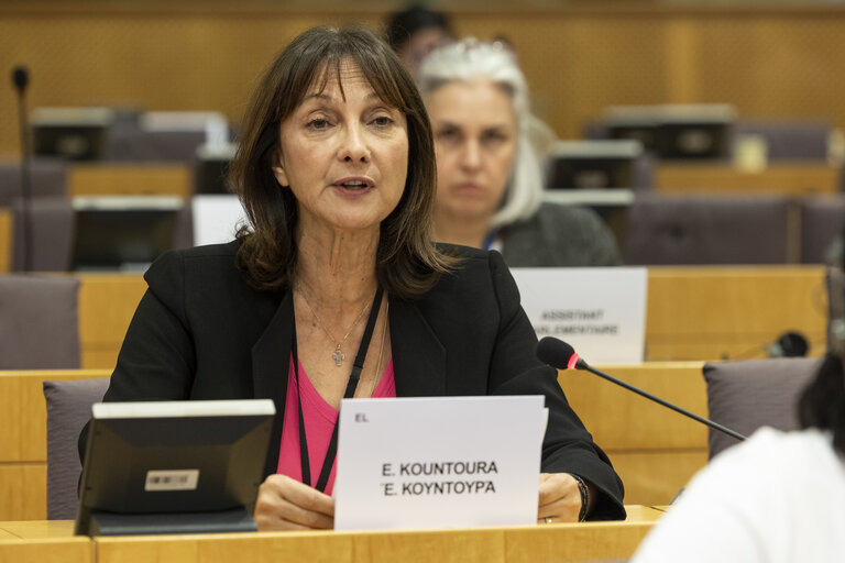 FEMM - Presentation of the priorities of the Danish Presidency of the Council