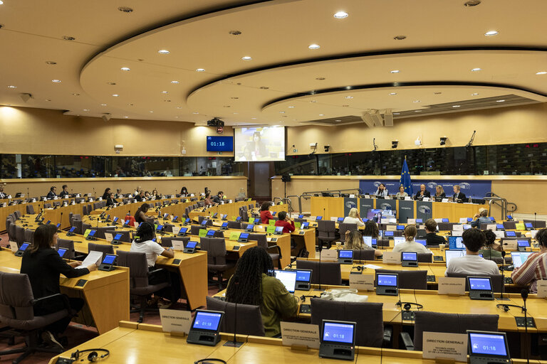FEMM - Presentation of the priorities of the Danish Presidency of the Council