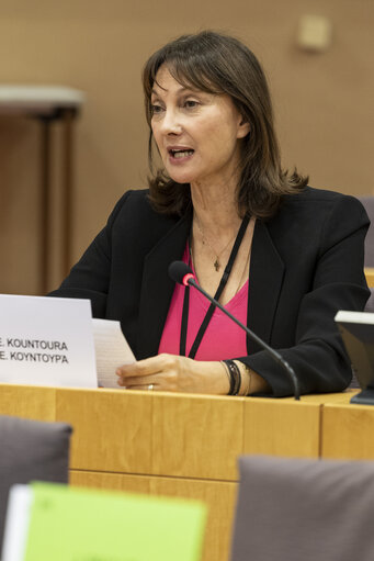 FEMM - Presentation of the priorities of the Danish Presidency of the Council