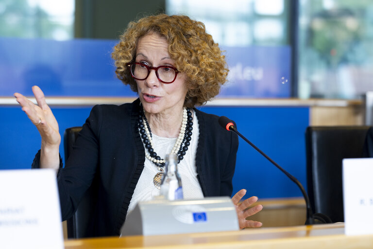 SEDE AFET - Exchange of views with Radmila Shekerinska, NATO Deputy Secretary General