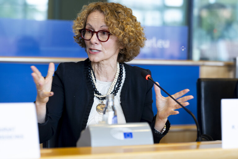 SEDE AFET - Exchange of views with Radmila Shekerinska, NATO Deputy Secretary General
