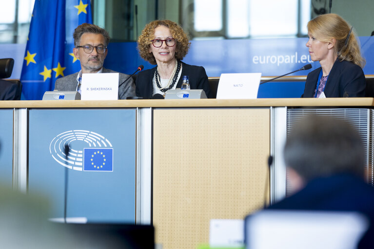 SEDE AFET - Exchange of views with Radmila Shekerinska, NATO Deputy Secretary General