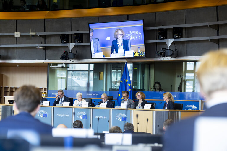 SEDE AFET - Exchange of views with Radmila Shekerinska, NATO Deputy Secretary General