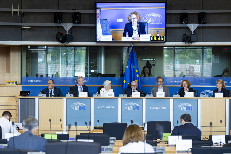 SEDE AFET - Exchange of views with Radmila Shekerinska, NATO Deputy Secretary General