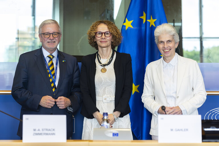 SEDE AFET - Exchange of views with Radmila Shekerinska, NATO Deputy Secretary General