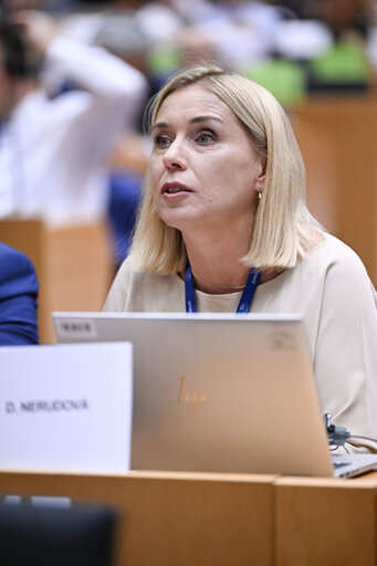 BUDG - Exchange of views with Piotr SERAFIN, Commissioner for Budget, Anti-Fraud and Public Administration on the MFF beyond 2027 and Own Resources