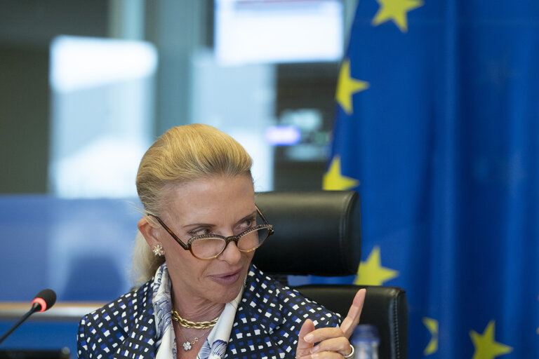 Fotografija 11: TRAN - Public hearing on Bureaucratic burden reduction in different transport modes