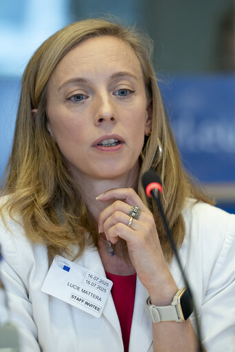 Fotografija 4: TRAN - Public hearing on Bureaucratic burden reduction in different transport modes