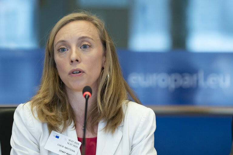 Fotografija 5: TRAN - Public hearing on Bureaucratic burden reduction in different transport modes