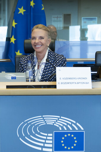 Fotografija 21: TRAN - Public hearing on Bureaucratic burden reduction in different transport modes