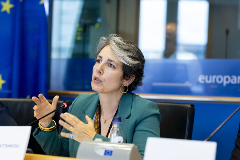 Zdjęcie 13: TRAN - Public hearing on Bureaucratic burden reduction in different transport modes
