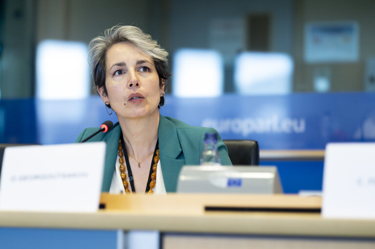 Zdjęcie 16: TRAN - Public hearing on Bureaucratic burden reduction in different transport modes
