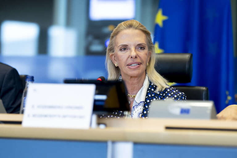 Zdjęcie 23: TRAN - Public hearing on Bureaucratic burden reduction in different transport modes