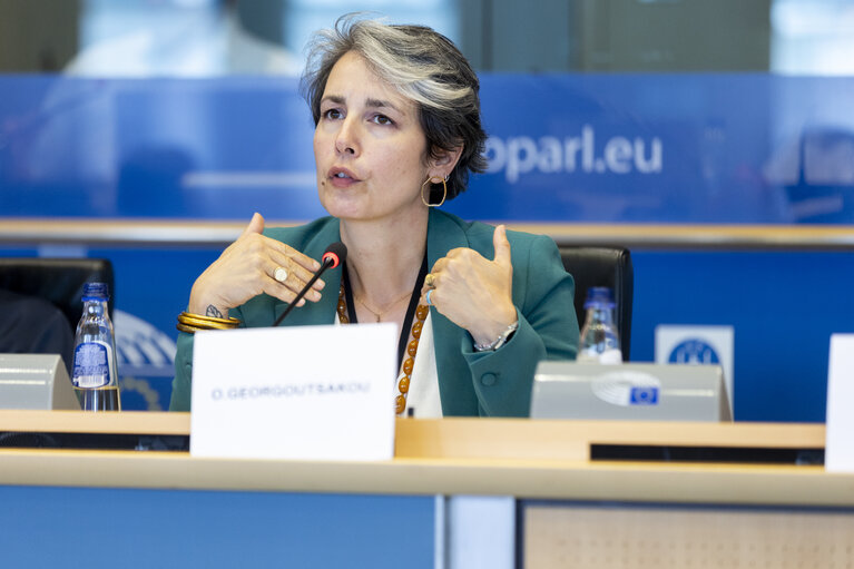 TRAN - Public hearing on Bureaucratic burden reduction in different transport modes