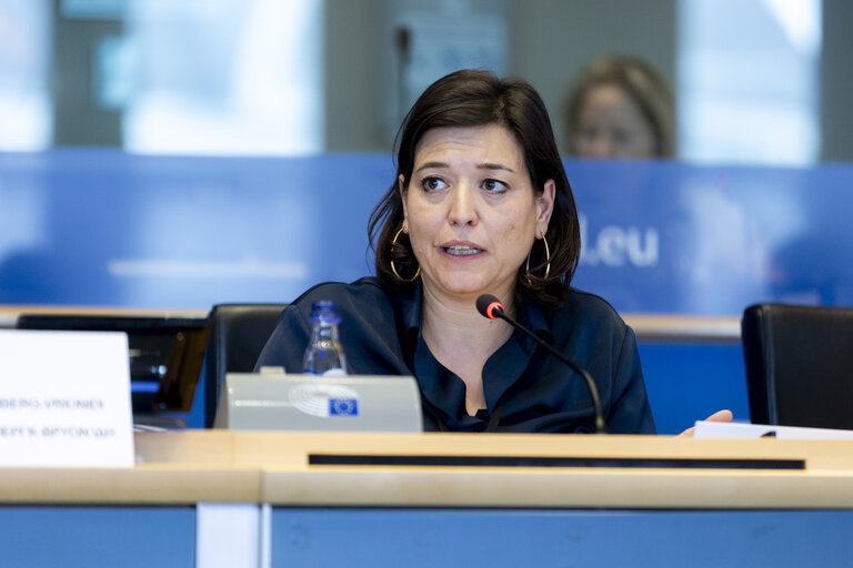 TRAN - Public hearing on Bureaucratic burden reduction in different transport modes