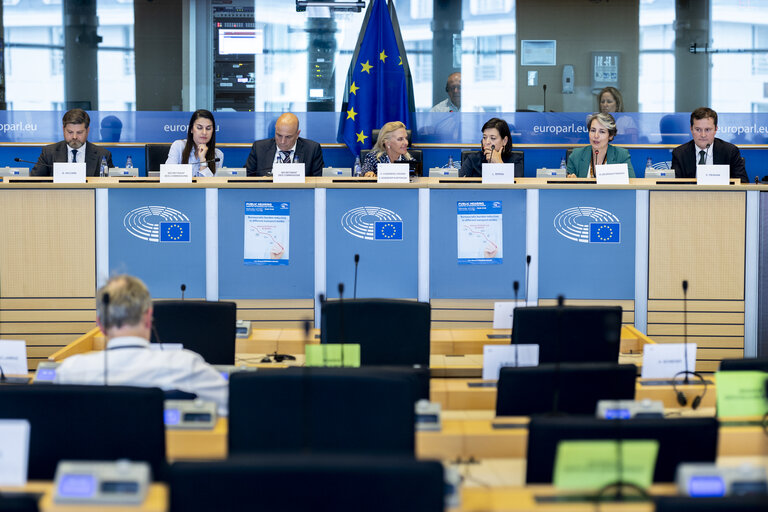 TRAN - Public hearing on Bureaucratic burden reduction in different transport modes