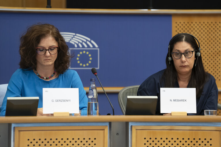 REGI - Exchange of views on the EC proposal for the Multi-annual Financial Framework (MFF) post 2027