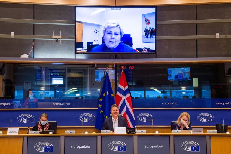 37th EU-Norway Inter-parliamentary Meeting