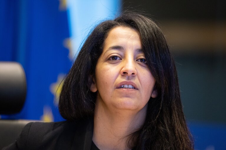 Billede 18: TRAN Committee - Space as enabler for a Smart and Green Transport