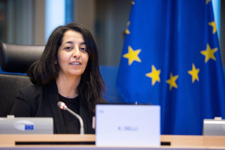 Billede 17: TRAN Committee - Space as enabler for a Smart and Green Transport