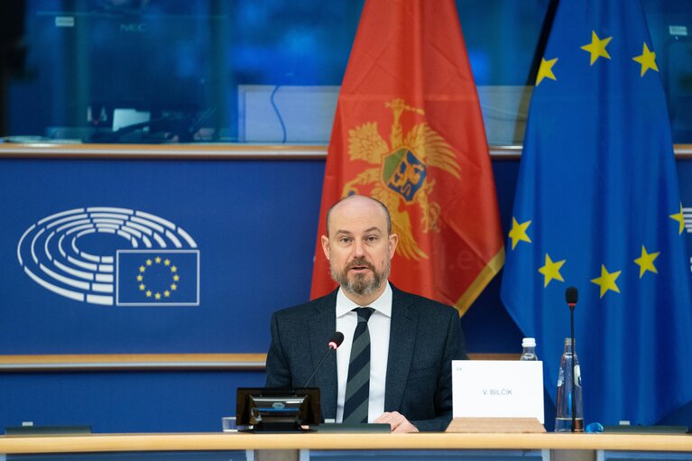 Foto 10: 20th EU - Montenegro Stabilisation and Association Parliamentary Committee (SAPC) meeting