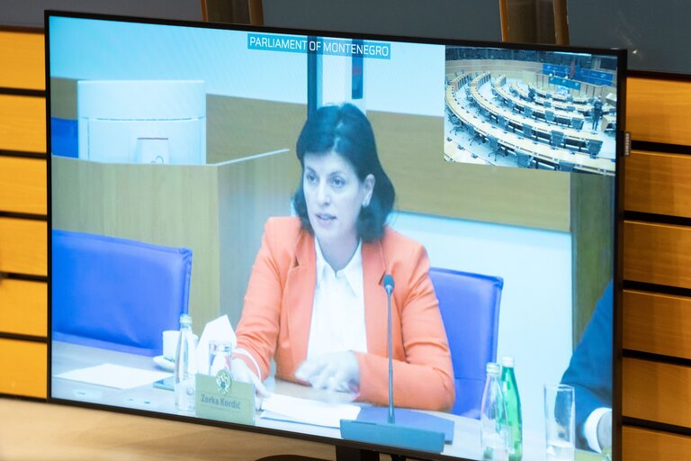 Foto 12: 20th EU - Montenegro Stabilisation and Association Parliamentary Committee (SAPC) meeting