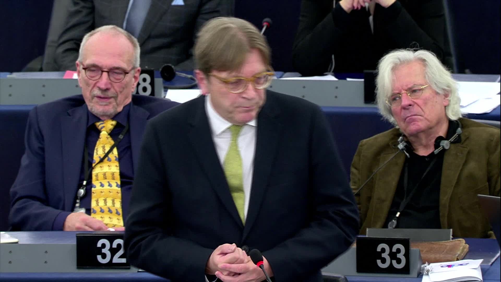 Debate on the Future of Europe with Angela MERKEL, German Federal Chancellor: first round of political group speakers - Guy VERHOFSTADT (ALDE, BE) (16:02 - 16:10)