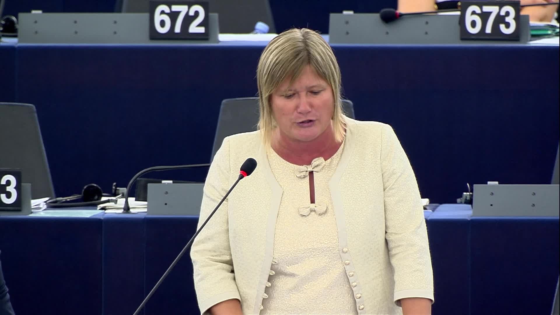 Debate on the situation in Hungary: MEPs debate (16:51 - 17:25)